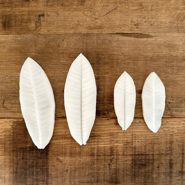 With the assistance of these two top-quality silicone molds, you can effortlessly fashion plumeria leaves in an assortment of sizes to meet your specific needs. Realistic flower petals and leaves for CLAYCRAFT BY DECO CLAY as well as sugar flowers and