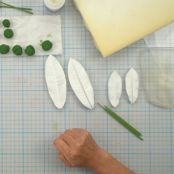 With the assistance of these two top-quality silicone molds, you can effortlessly fashion plumeria leaves in an assortment of sizes to meet your specific needs. Realistic flower petals and leaves for CLAYCRAFT BY DECO CLAY as well as sugar flowers and