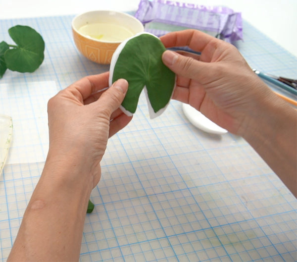 Water Lily Leaf Mold