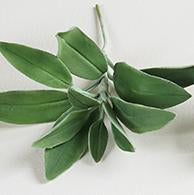Realistic flower petals for CLAYCRAFT BY DECO CLAY as well as sugar flowers and