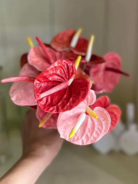 Realistic flower petals for CLAYCRAFT BY DECO CLAY as well as sugar flowers and