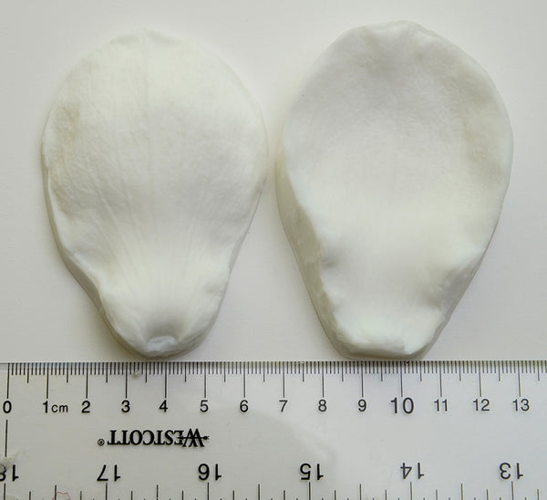 Realistic flower petals for CLAYCRAFT BY DECO CLAY as well as sugar flowers and
