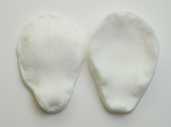Realistic flower petals for CLAYCRAFT BY DECO CLAY as well as sugar flowers and