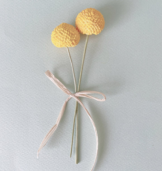 Realistic flower petals for CLAYCRAFT BY DECO CLAY as well as sugar flowers and