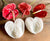 Realistic flower petals for CLAYCRAFT BY DECO CLAY as well as sugar flowers and