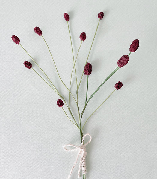 Great Burnet  - Silicone Mold