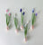 Realistic flower petals and leaves for CLAYCRAFT BY DECO CLAY as well as sugar flowers and