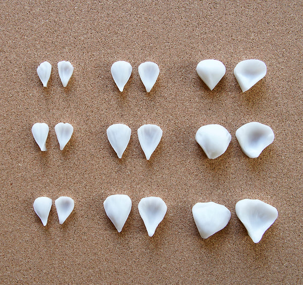 Realistic flower petals and leaves for CLAYCRAFT BY DECO CLAY as well as sugar flowers and