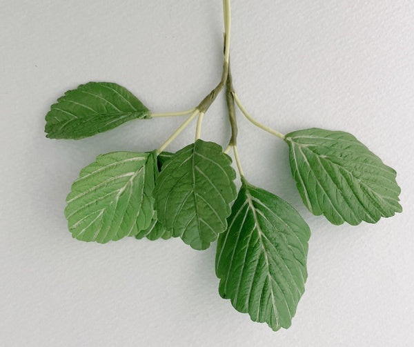 Realistic flower petals and leaves for CLAYCRAFT BY DECO CLAY as well as sugar flowers