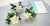 Three cream-colored clay gardenia flowers with green buds and leaves beside a DECO Tropical Course 2 curriculum booklet.
