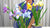 Handcrafted clay irises in purple, pale blue, white, and yellow with tall green leaves in blue-and-white patterned vases.