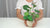 Instructor holding a cream pot with handcrafted pink clay lotus buds, green leaves, seed pods, and a dragonfly.
