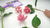 Handcrafted pink clay Medinilla flowers on green stems with broad, veined leaves arranged on a white tabletop.