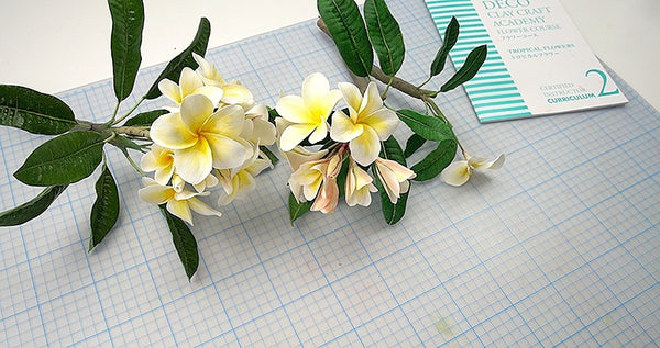 White and yellow clay plumeria blossoms and buds on leafy branches beside a DECO Tropical Course 2 curriculum book.