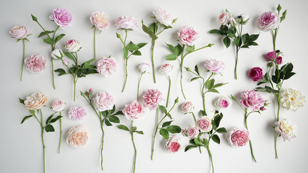 Rose Collection 1 - DECO Clay Craft Academy - Online