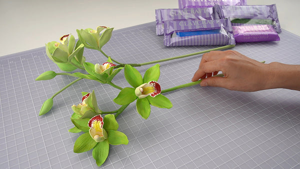 Hand holding green clay cymbidium orchid stems with cream and burgundy centers and unopened buds on a gridded work mat.